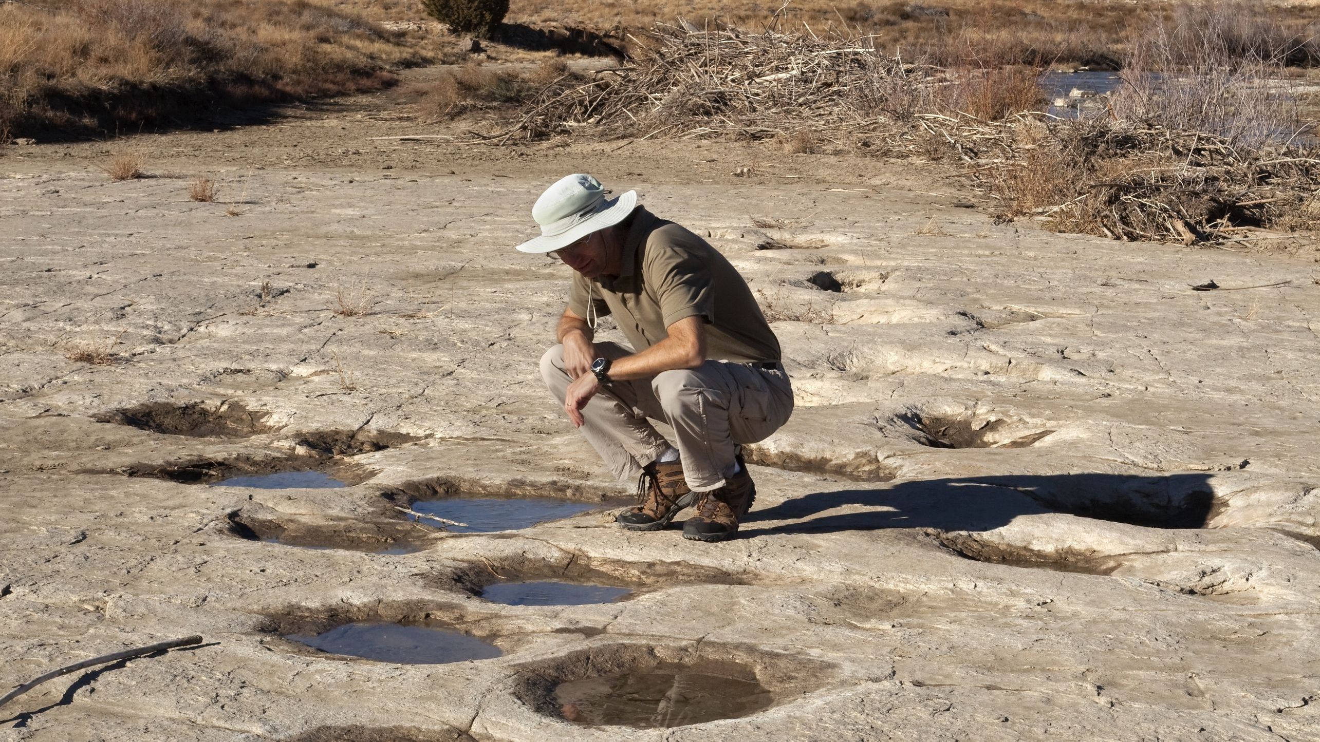 Поруч зі слідами вчені також виявили нори - фото 1
