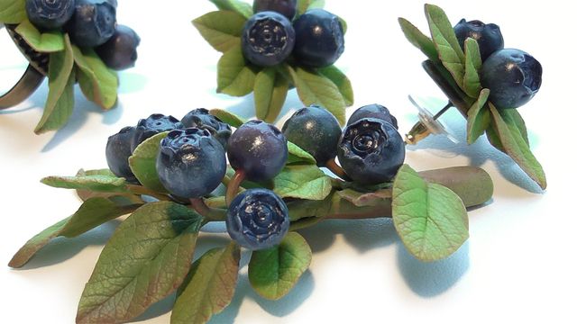 Виявлені чудодійні властивості чорниці- фото 254289
