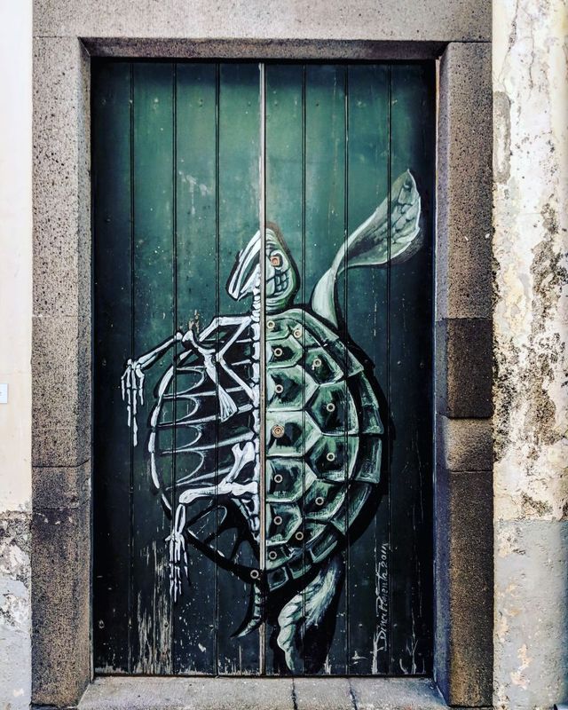 Фотограф показав таємничі двері островів Мадейра - фото 256557