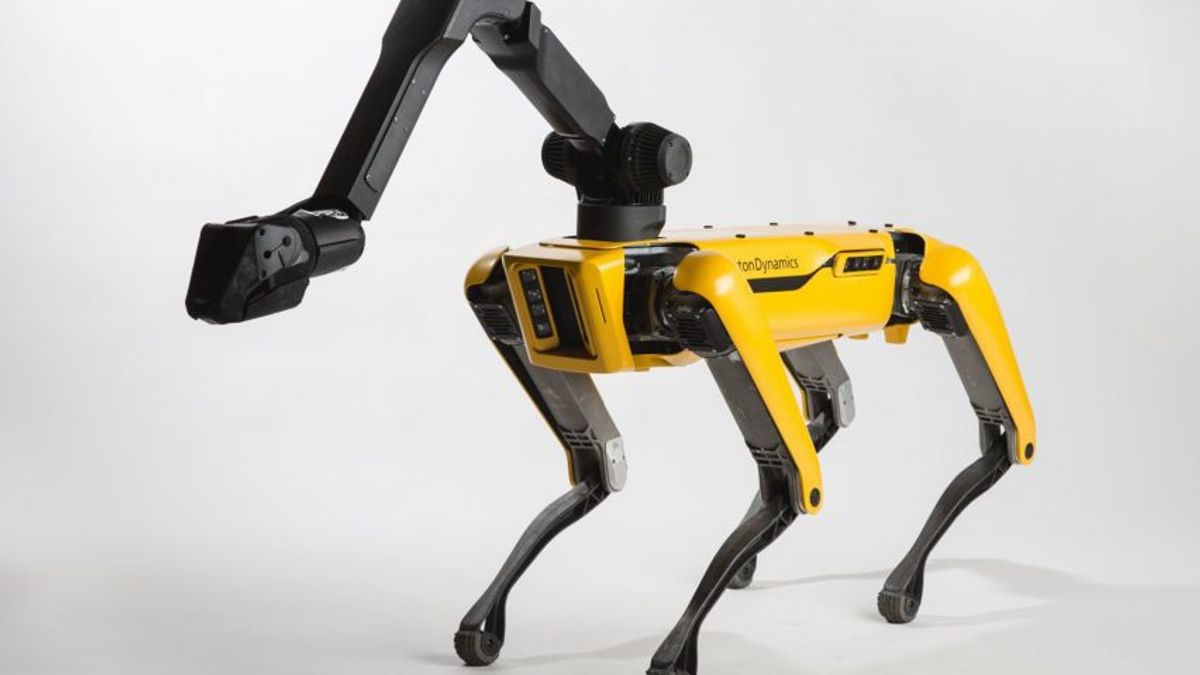 Робособаку Boston Dynamics вигуляли у Німеччині: відеофакт - фото 1