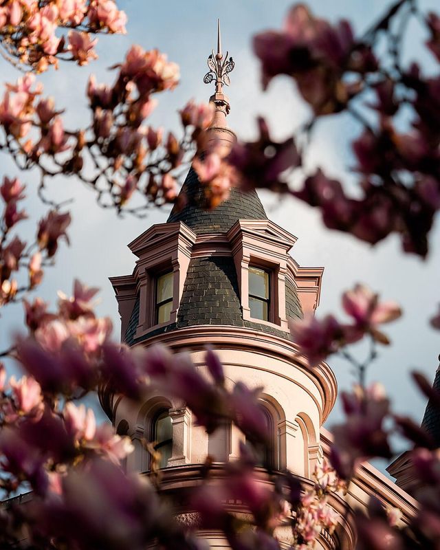 Особливий погляд на США у знімках талановитого фотографа - фото 256621