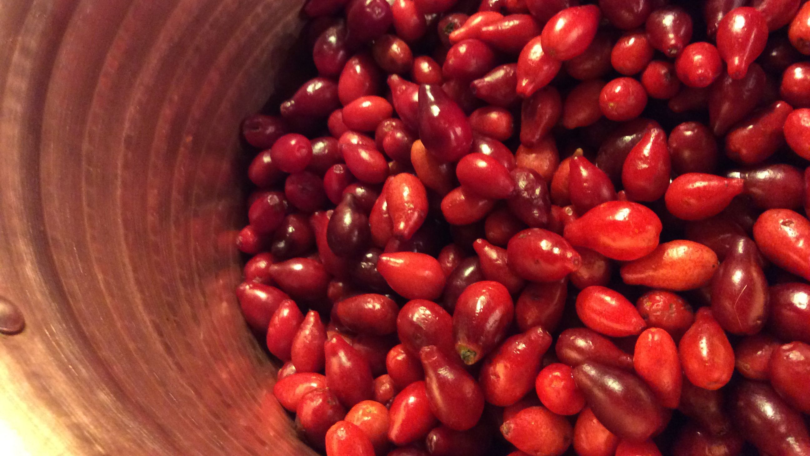 Чим корисний кизил для здоров'я