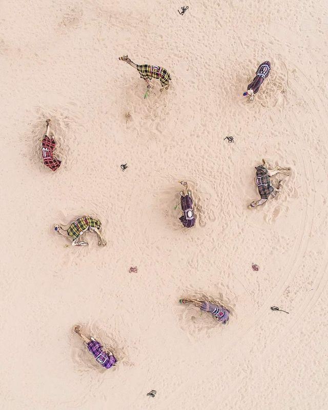 Фотограф показав силу піщаних буревіїв- фото 257554