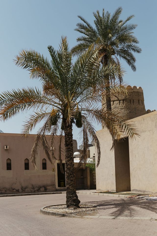 Фотограф показала Оман під час Рамадану: неймовірні кадри - фото 251831