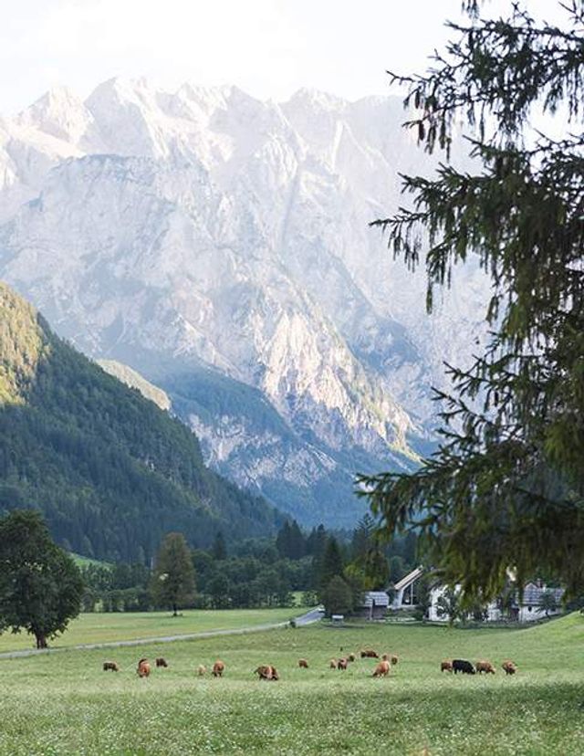 Мандрівник показав незвичайні знімки Європи- фото 255984