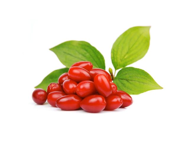 Чим корисний кизил для здоров'я- фото 259462