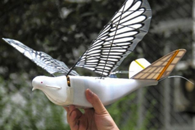 За китайцями стежитимуть за допомогою дронів-птахів - фото 258531