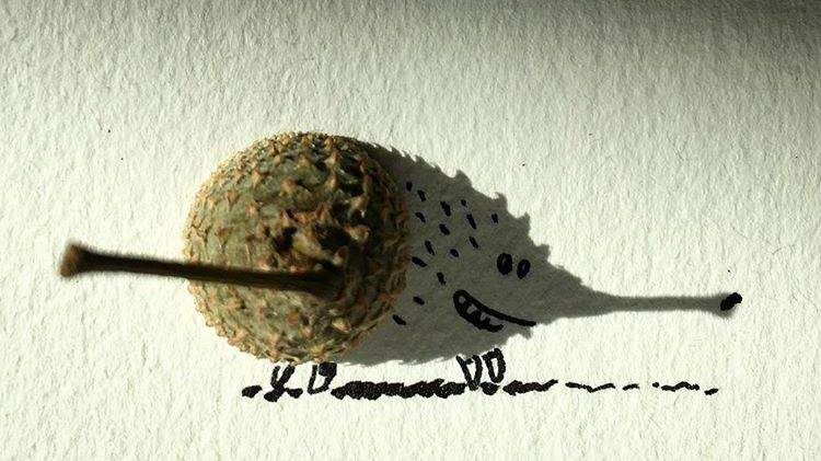 Неймовірні знімки, на яких тінь вирішує все