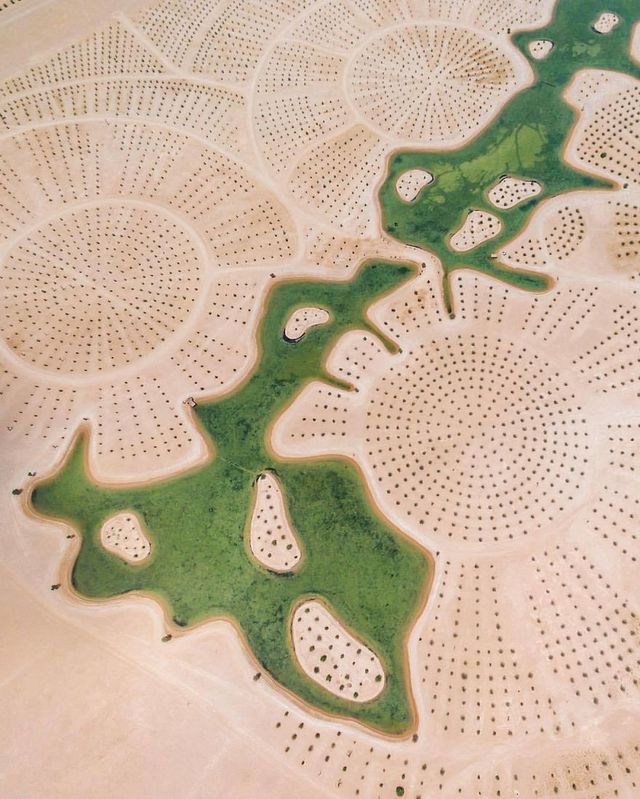 Як пустеля захоплює Дубай та Абу-Дабі: ефектні фото - фото 254133