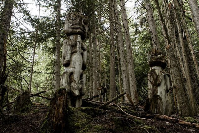 Дика природа та люди у вражаючих фото мандрівника- фото 255084