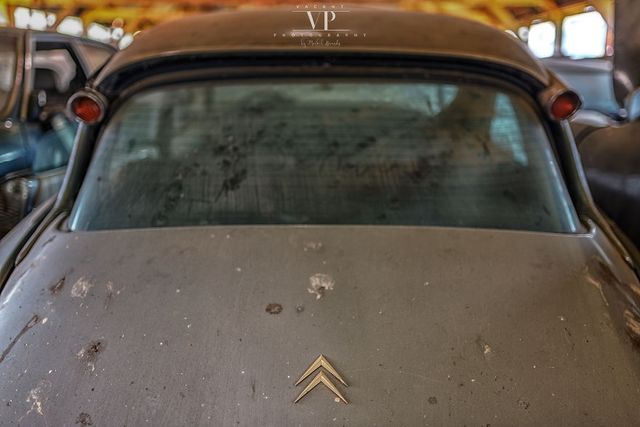 Фотограф показав занедбану колекцію покинутих авто - фото 252508