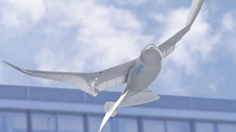 За китайцями стежитимуть за допомогою дронів-птахів