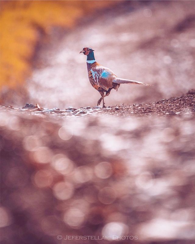 Чарівна природа з незвичайних ракурсів: атмосферні фото - фото 257117