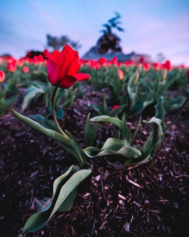 Особливий погляд на США у знімках талановитого фотографа - фото 256611