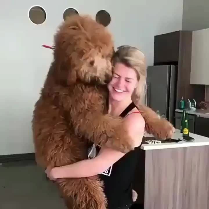 Величезний цуцик став зіркою мережі: кумедне відео