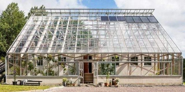 Оригінальний будинок, побудований усередині оранжереї- фото 256669