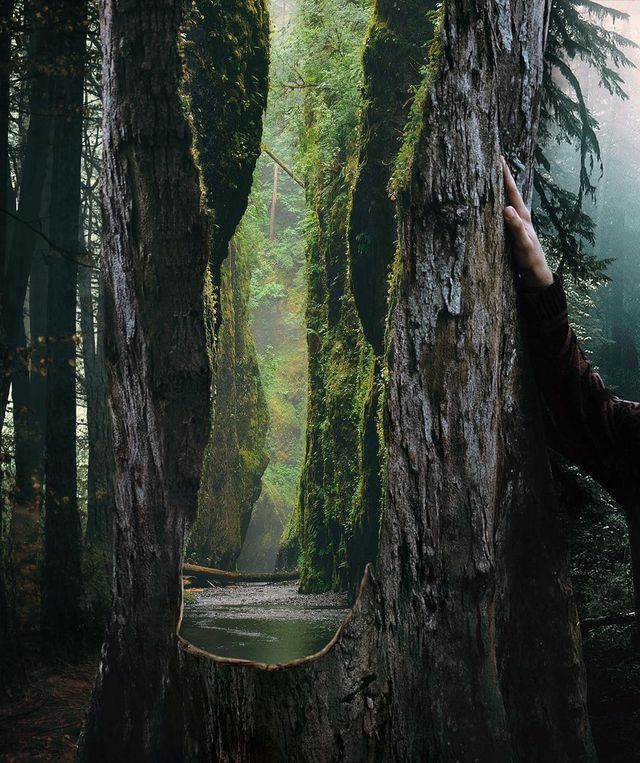 Фотоколажі талановитого художника, які змусять затримати погляд - фото 258944