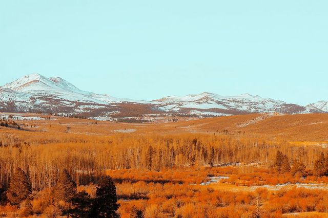 Талановита фотограф показує світ у неймовірних кольорах - фото 258331