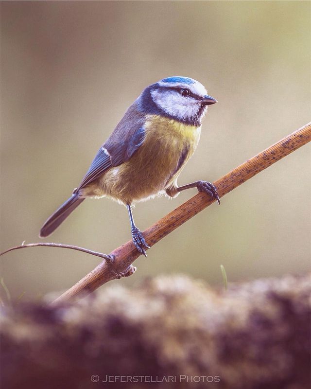 Чарівна природа з незвичайних ракурсів: атмосферні фото - фото 257111