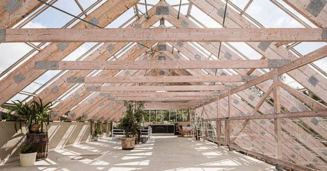 Оригінальний будинок, побудований усередині оранжереї- фото 256666