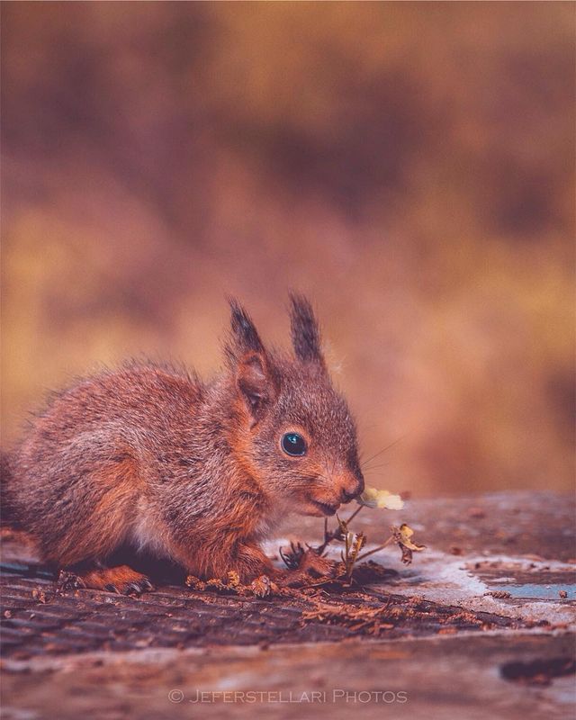 Чарівна природа з незвичайних ракурсів: атмосферні фото - фото 257124
