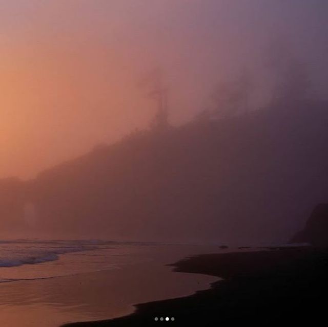 Національний парк Олімпік у США в полоні туману: казкові фото - фото 251913