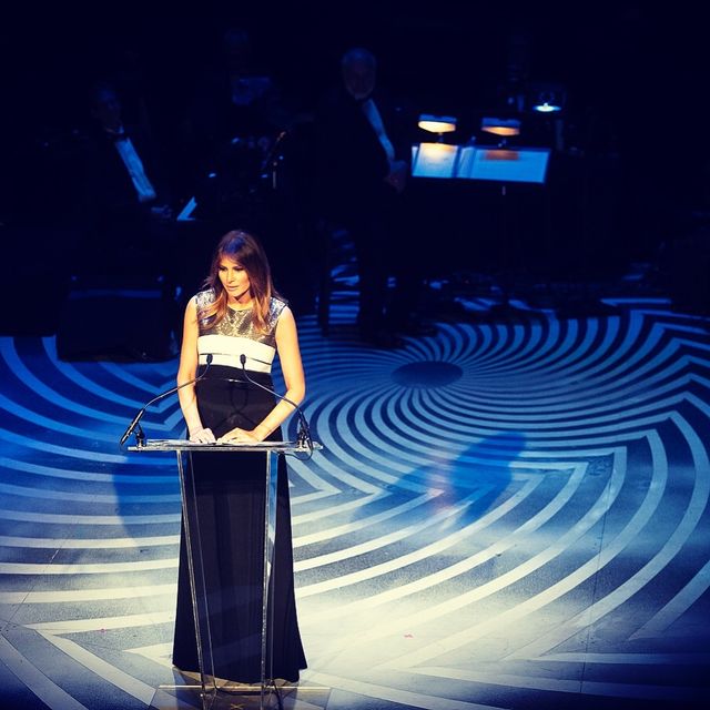 Меланія Трамп з'явилася на публіці у вишуканій сукні - фото 254522