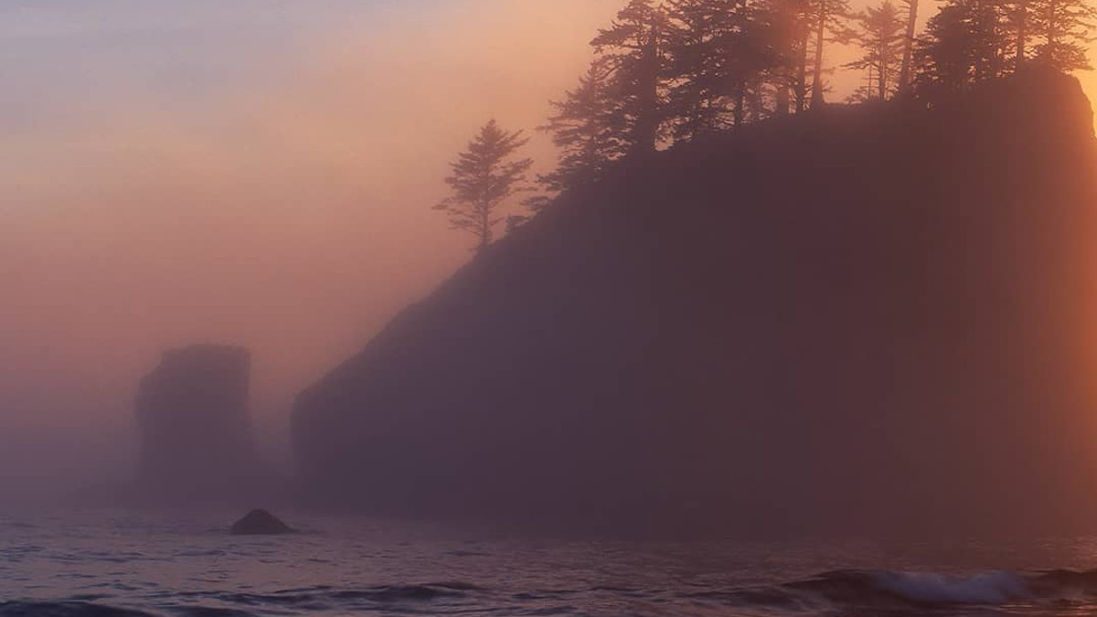 Національний парк Олімпік у США в полоні туману: казкові фото - фото 1