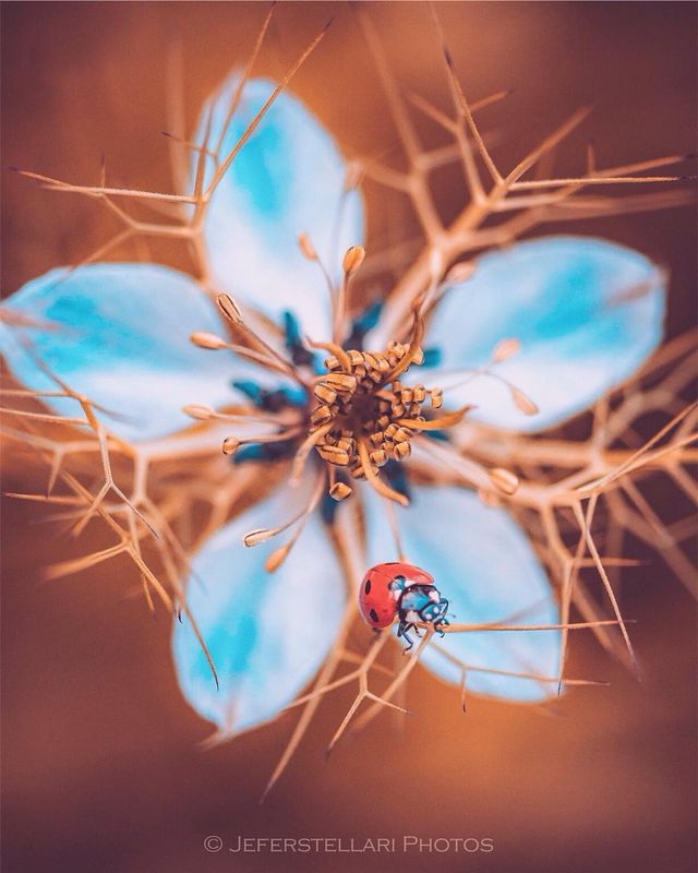 Чарівна природа з незвичайних ракурсів: атмосферні фото - фото 257119