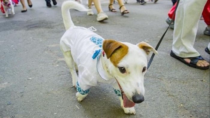 Кінцевою точкою параду стала арка Дружби Народів - фото 1