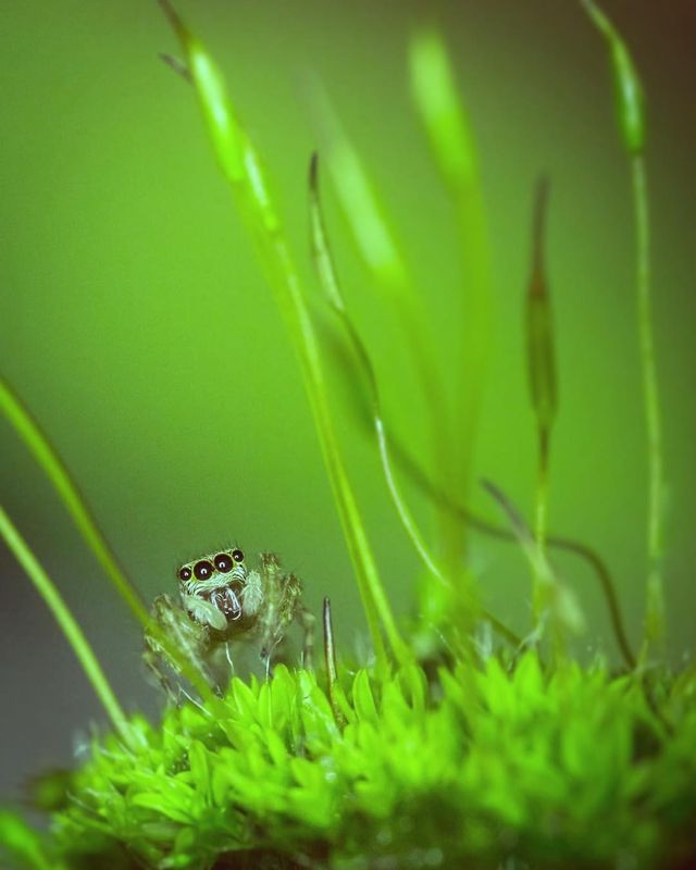 Чарівна природа з незвичайних ракурсів: атмосферні фото - фото 257114