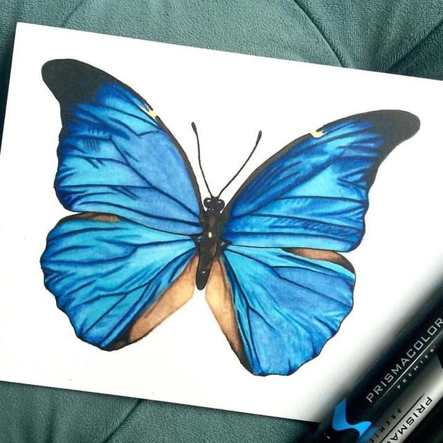 Художниця малює гіперреалістичних тварин, від яких перехоплює дух - фото 258638