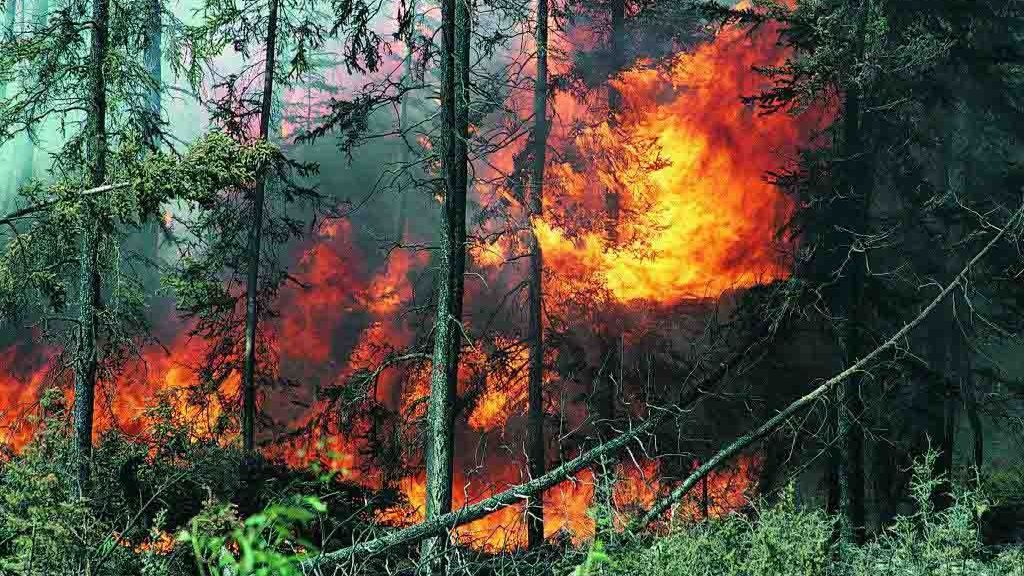 В Україні зберігається надзвичайна пожежна небезпека