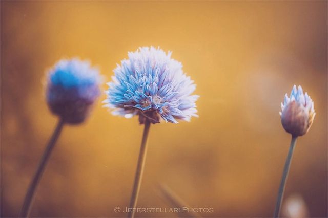 Чарівна природа з незвичайних ракурсів: атмосферні фото - фото 257112