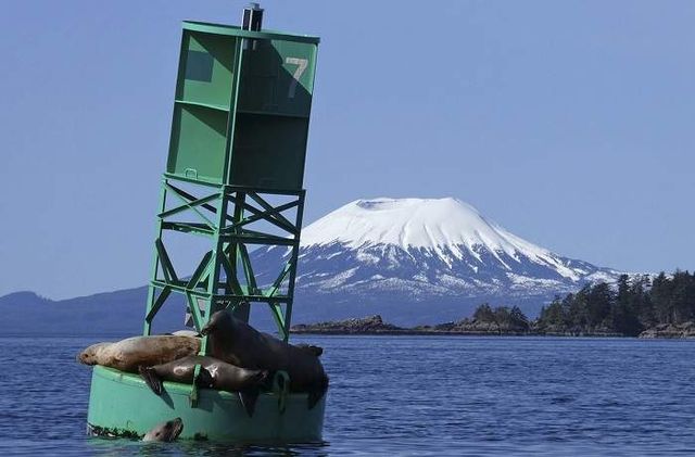 Дика природа Аляски у чаруючих знімках - фото 252964
