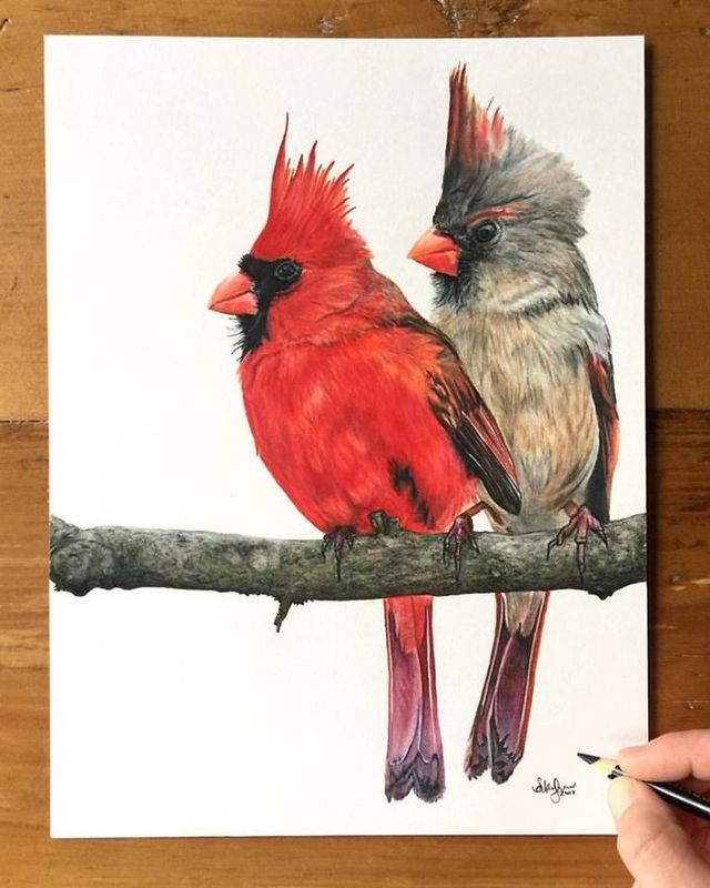 Художниця малює гіперреалістичних тварин, від яких перехоплює дух - фото 258634