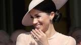Меган Маркл – вагітна: ЗМІ розкрили, що в герцогині і принца Гаррі буде двійня