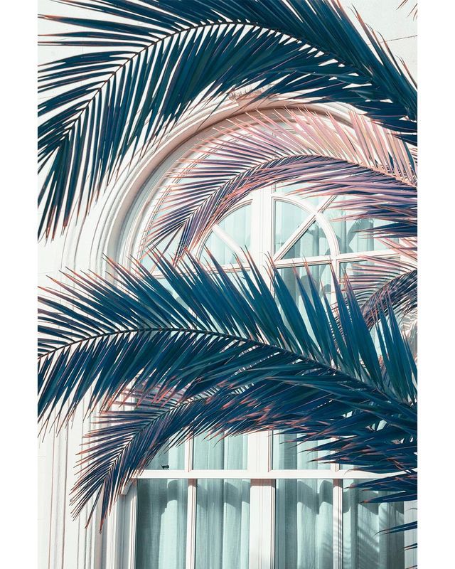 Талановита фотограф показує світ у неймовірних кольорах - фото 258337