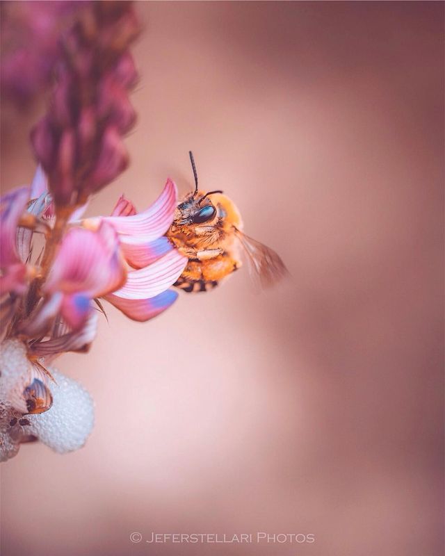 Чарівна природа з незвичайних ракурсів: атмосферні фото - фото 257120