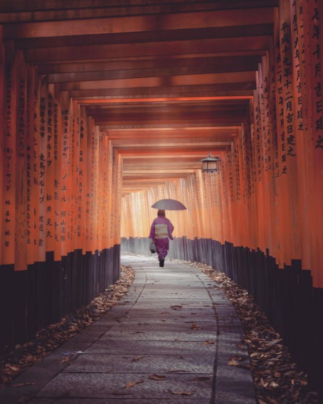 Неймовірний світ в об'єктиві мандрівника - фото 256888