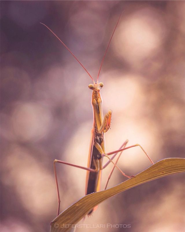 Чарівна природа з незвичайних ракурсів: атмосферні фото - фото 257118