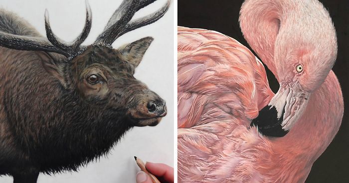 Художниця малює гіперреалістичних тварин, від яких перехоплює дух
