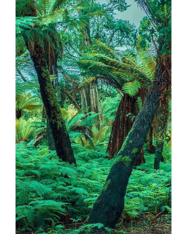 Талановита фотограф показує світ у неймовірних кольорах - фото 258341