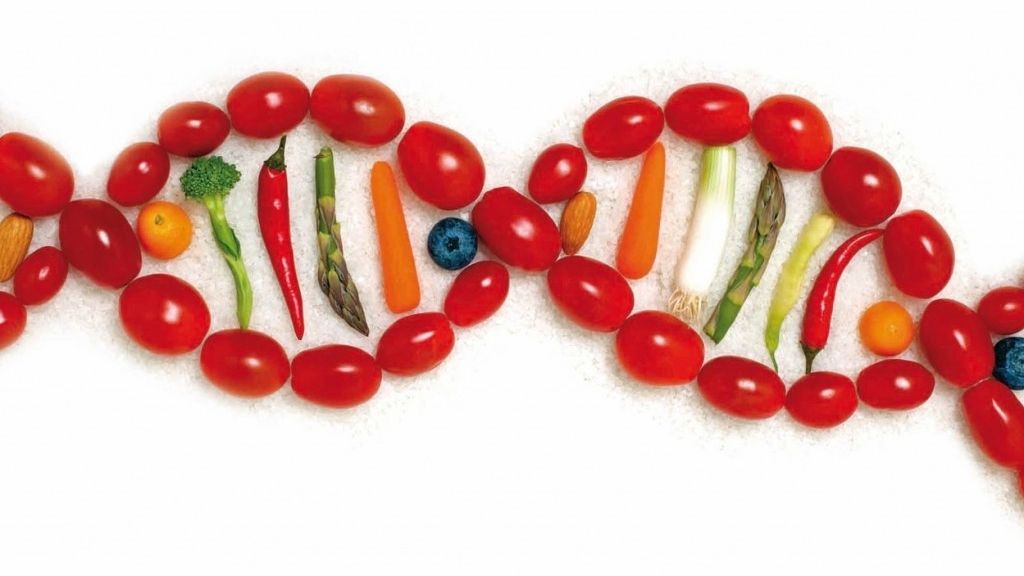 Як їжа впливає на наші гени: дослідження