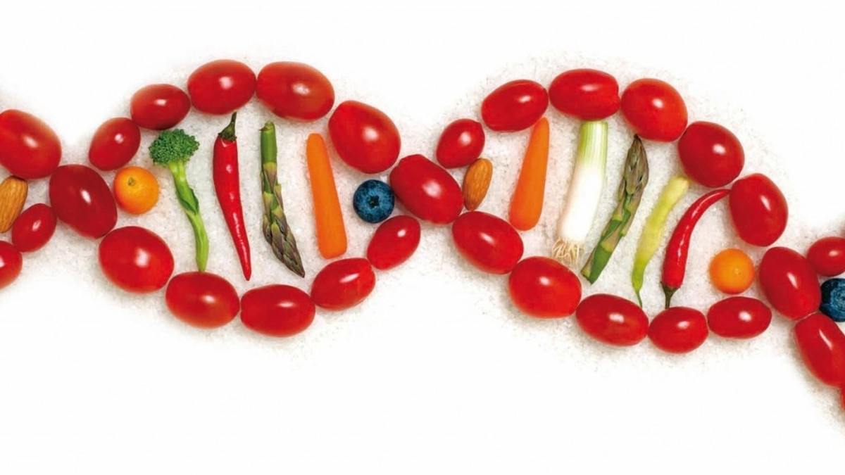 Вітаміни і жирні кислоти по-різному впливають на гени - фото 1