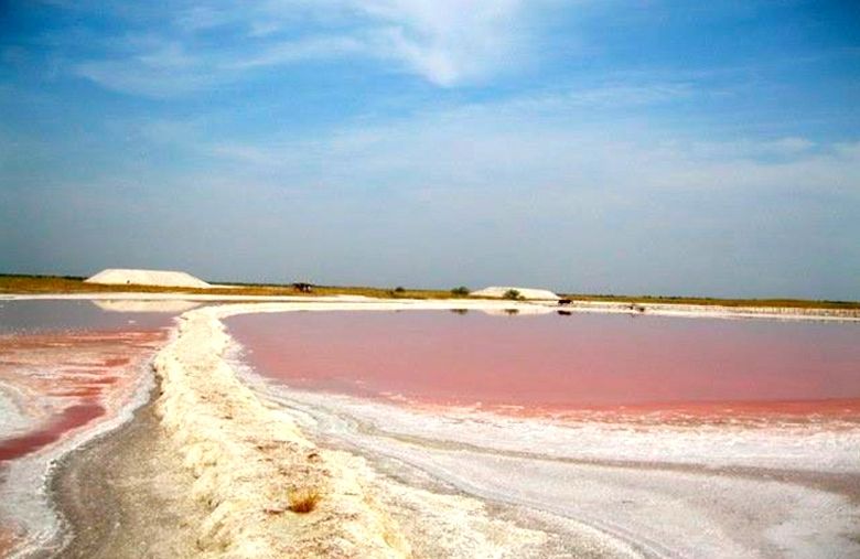 Це цілюще рожеве озеро на Херсонщині не має аналогів у світі