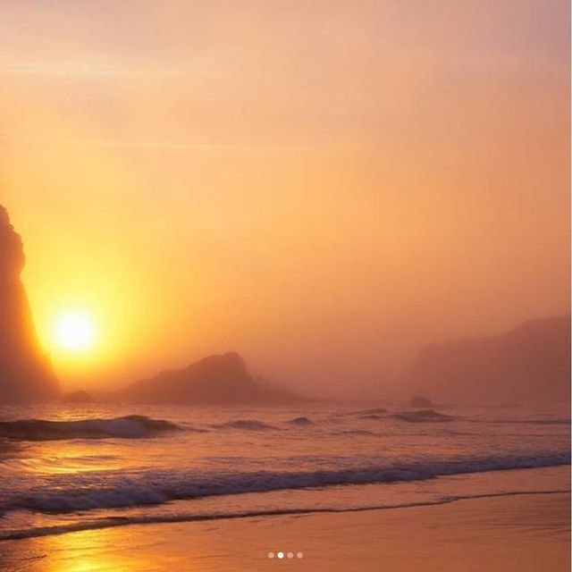 Національний парк Олімпік у США в полоні туману: казкові фото - фото 251914