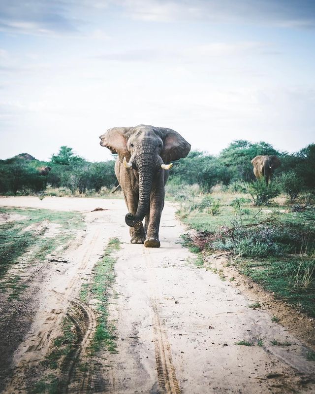 Талановитий фотограф показує свої пригоди світом - фото 254452