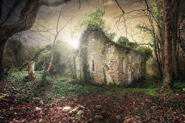 Фотограф показав закинуті місця Німеччини: незвичайні кадри - фото 257684