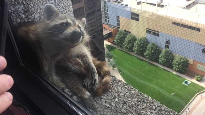 Скрін з відео - фото 1